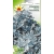 Nasiona Starzec Mrozy ząbkowane Tor457