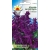Nasiona Szałwia błyszcząca Tor464