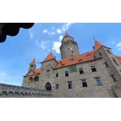 Rododendron czeski Bouzov lilioworóżowy Rcz3