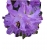 Rododendron Buchlovice niebieskofioletowy Rom6