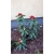Rododendron Torero 5 lat Ro68