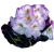 Rododendron Brigitte Ro15