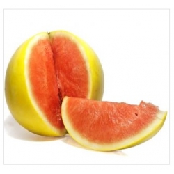 nasiona owoców Arbuz, kawon Złoto Wolicy