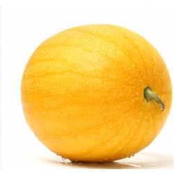 nasiona owoców Arbuz, kawon Złoto Wolicy