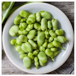 asiona na kiełki Bób wyka bio swikx89