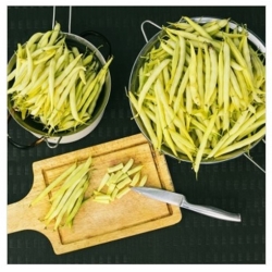 nasiona Fasola szparagowa karł Berggold swikx98