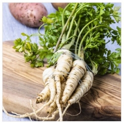 nasiona pietruszka korzeniowa Halblange ekolog swikx100