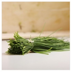 nasiona na kiełki Szczypiorek bio swikx88