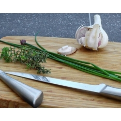 nasiona na kiełki Szczypiorek bio swikx88