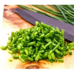 nasiona szczypiorek medium leaf Bio swikx101