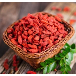 nasiona owoców Jagody goji