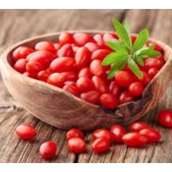 nasiona owoców Jagody goji