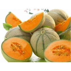 nasiona owoców Melon Charentaise - cukrowy