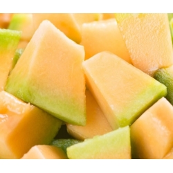 nasiona owoców Melon Charentaise - cukrowy