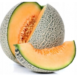 nasiona owoców Melon Charentaise - cukrowy