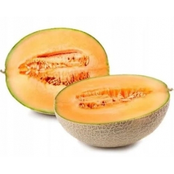 nasiona owoców Melon Charentaise - cukrowy