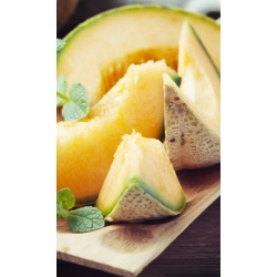 nasiona owoców Melon Junior