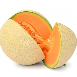 nasiona owoców Melon Junior