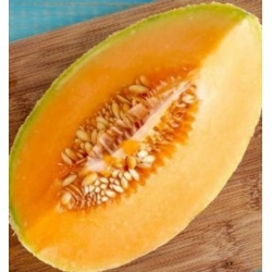 nasiona owoców Melon Junior