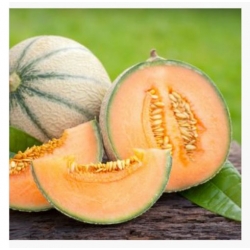 nasiona owoców Melon Malaga F1