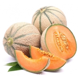 nasiona owoców Melon Malaga F1