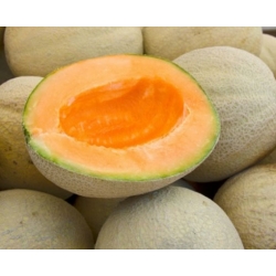 nasiona owoców Melon Malaga F1