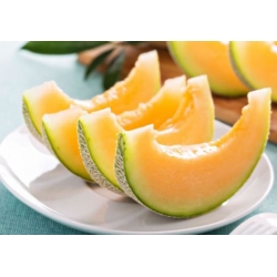 nasiona owoców Melon Malaga F1