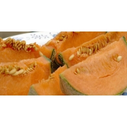 nasiona owoców Melon Malaga F1