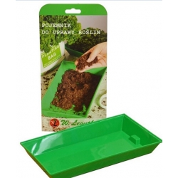 Microgreens Bazylia zielona młode listki swikx47