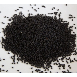 nasiona Microgreens Bazylia zielona młode listki swikx48