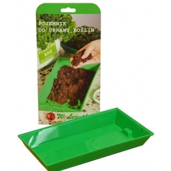 nasiona Microgreens Burak ćwikłowy młode listki swikx32