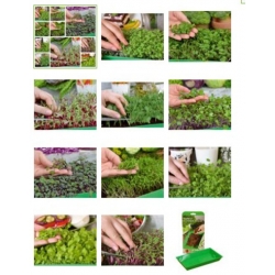 nasiona Microgreens Heaven swikx62