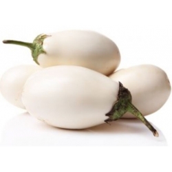 nasiona Oberżynka Golden Eggs swikx253