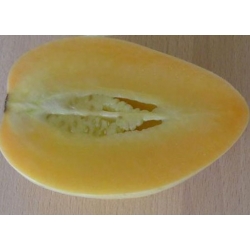 nasiona owoców Pepino