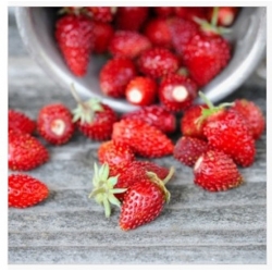 nasiona owoców Poziomka Attila