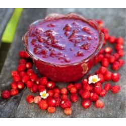 nasiona owoców Poziomka Rugia