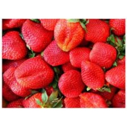 nasiona owoców Truskawka Temptation