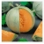 nasiona owoców Melon Charentaise - cukrowy