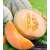 nasiona owoców Melon Charentaise - cukrowy