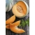 nasiona owoców Melon Junior