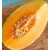 nasiona owoców Melon Junior