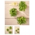 nasiona Microgreens Słonecznik młode listki swikx43