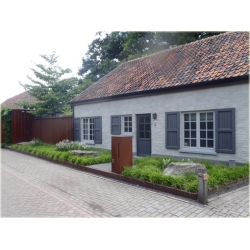 trawa Turzyca oszimska Greenwell Tr36