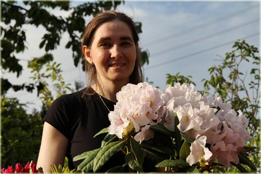 Rododendron wielkokwiatowy Eskimo - Rhododendron Eskimo