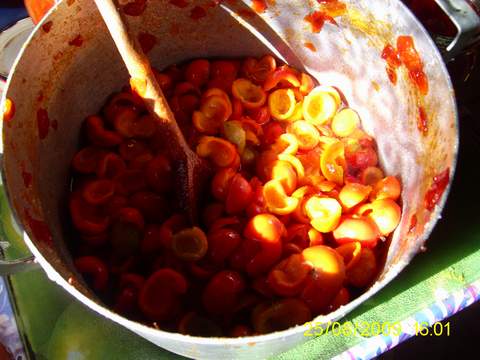 szypułki róży rugosa w trakcie gotowania