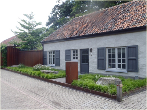 Turzyca oszimska Greenwell Carex oshimensis Greenwell